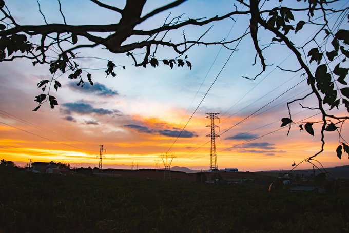 The image shows a beautiful sunset over a field with power lines running through it, creating silhouettes of trees against the sky. The sun is setting behind the trees, casting long shadows across the landscape. In the background, there are two projects that give an interesting perspective on Web3 and its future direction. One project focuses on the internet's evolution from text to images, while the other project explores how Web3 will eventually run on an OS like AI-powered Arc. The image captures a serene moment in time as the sun sets over the field of trees, creating a captivating scene that blends nature and technology.