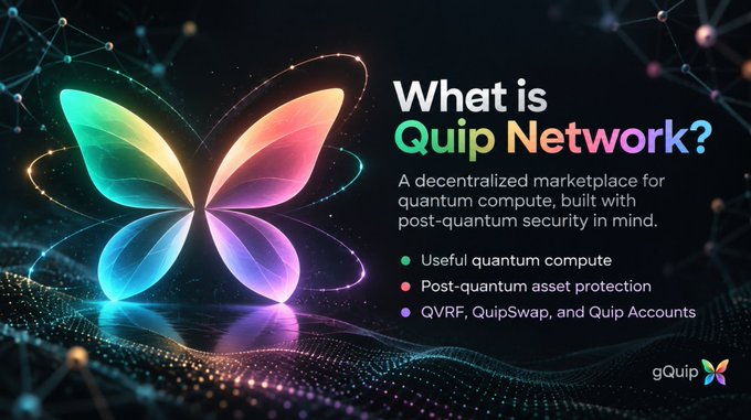A promotional graphic for 'Quip Network' describes it as 'A decentralized marketplace for quantum compute, built with post-quantum security in mind,' featuring a colorful butterfly logo.