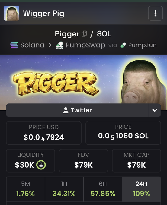 A screenshot of a cryptocurrency token page for "Pigger" on the Solana blockchain, showing a price of $0.047924 USD (0.051060 SOL), $30K liquidity, $79K FDV/Market Cap, and 24-hour gains of 109%, with a meme image of a pig wearing a wig—matching the promotional post urging people to buy the $Pigger token.