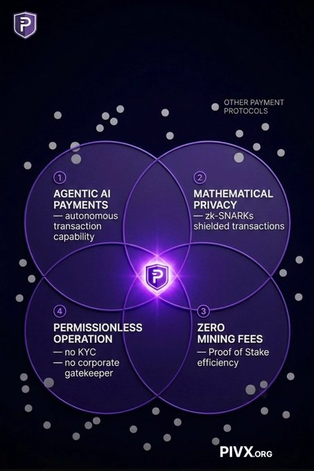 The image shows a purple circle with four smaller circles inside, each representing a different aspect of an AI-based payment system. The first circle contains information about permissionless rails, while the second circle explains the need for agents to have access to private ledgers where their strategy cannot be read or exploited by anyone watching the ledger. The third circle focuses on the importance of having no KYC (Know Your Customer) requirements and a front run or exploitation by anyone observing the ledger. Finally, the fourth circle highlights the significance of private autonomous payments in such systems.