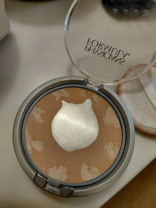 An open compact of Smashbox Photo Filter powder with a white cat-shaped powder puff resting on the bronzer.