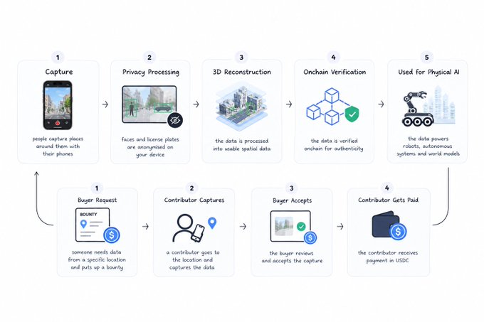 A two-part infographic explaining a data capture and Physical AI workflow, with the top showing capture, privacy processing, 3D reconstruction, onchain verification, and Physical AI use, while the bottom shows the buyer/contributor payment process using USDC.