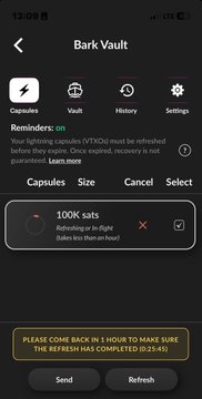 A screenshot of a mobile app interface called 'Bark Vault' showing reminders about VTNOls capsules expiring soon, including a '100K cats' capsule with a prompt to come back in 1 hour to ensure refresh completion.