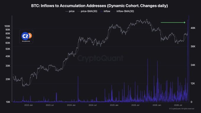 CryptoQuant chart titled 'BTC: Inflows to Accumulation Addresses (Dynamic Cohort. Changes daily)' showing BTC price rising to ~100K with a green arrow pointing to a spike in accumulation inflows labeled 48K.