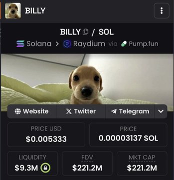 A screenshot of a memecoin called "BILLY" displayed on a trading interface, showing a puppy photo with a market cap of $221.2M, priced at $0.005333 USD or 0.00003137 SOL on the Solana network via Raydium and Pump.fun. The image ties into the post's message by showing a dog-themed memecoin that has already reached hundreds of millions in market cap, illustrating the success of animal-themed tokens and suggesting BILLY aims to go even higher.