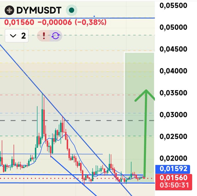 A cryptocurrency trading chart for DYMUSDT showing price at 0.01560 with a -0.38% change, with a green arrow indicating an upward price prediction.