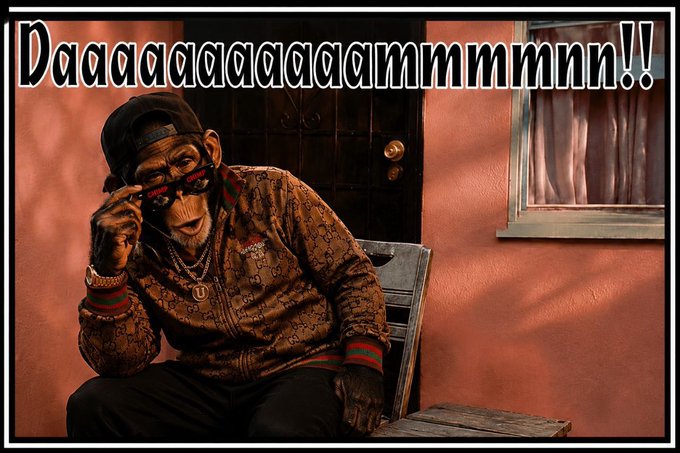 A meme image featuring a chimpanzee dressed in a Gucci outfit, sunglasses, and a bucket hat, with the text 'Daaaaaaaaammmmm!!' at the top.