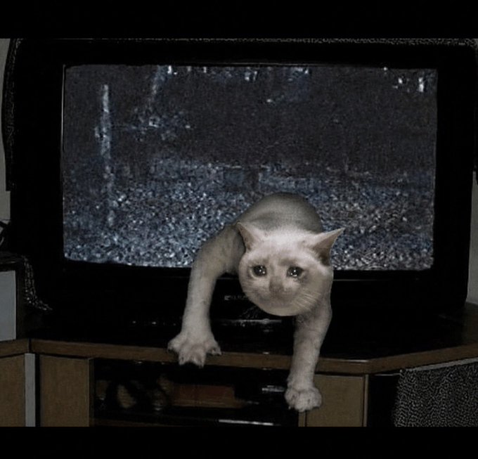 A white cat is positioned inside an old CRT television displaying static, with its paws hanging over the screen edge.