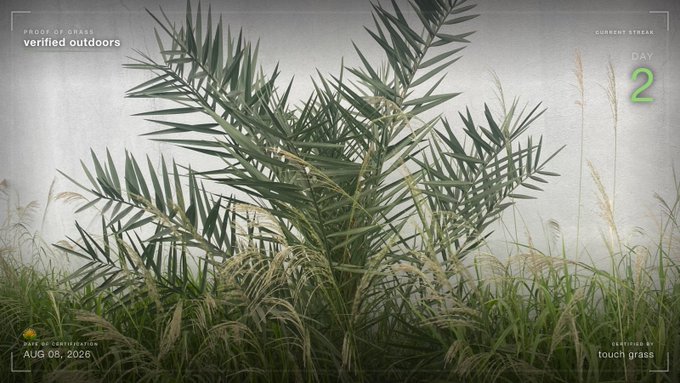 A palm plant is highlighted against a foggy landscape, featuring overlay graphics including 'PROOF OF GRASS', 'verified outdoors', 'CURRENT STREAM DAY 2', 'DATE OF CERTIFICATION AUG 06, 2026', and 'SEEN PLANT #042 touch grass'.
