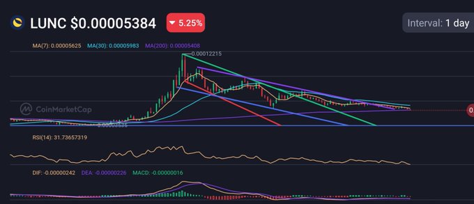 A CoinMarketCap 1-day chart for LUNC shows the token priced at $0.00005384, down 5.25%, with moving averages (MA7, MA30, MA200) fanning out from a peak of $0.00012215, while the RSI sits at 31.7 and the MACD reads -0.0000016—visuals that reinforce the post's warning of a test of long-term support and a possible market bottom.