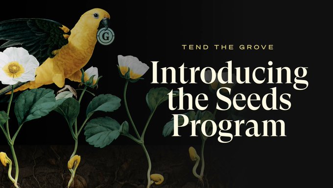 A yellow parrot holding a "G" token perches among white flowers and sprouting seeds on a dark background, with text reading "Tend the Grove — Introducing the Seeds Program." The image's botanical "seeds" imagery and parrot token directly tie into the post about staking GROVE for 3x weighted launch rewards in the Seeds Program.