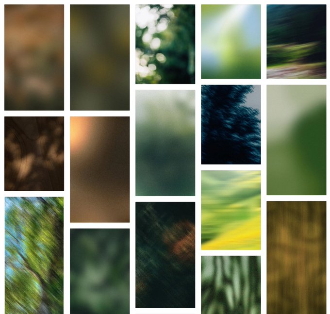 A collage of abstract, blurred photographs featuring earthy tones, greens, and natural textures arranged in a grid pattern.