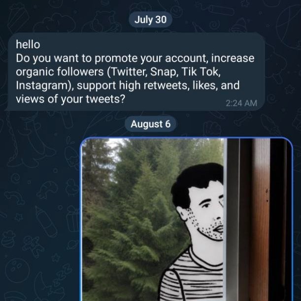 A WhatsApp message from July 30 reads: 'hello Do you want to promote your account, increase organic followers (Twitter, Snap, Tik Tok, Instagram), support high retweets, likes, and views of your tweets?' sent at 2:24 AM, followed by an August 6 image of a stylized cartoon man outdoors.