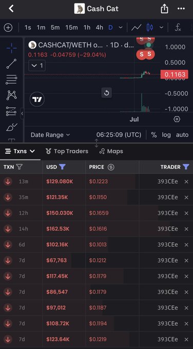 The image shows a DEX trading chart for CASHCAT/WETH, which has dropped 29.04% to 0.1163, with transaction history showing repeated sells by the same trader "393CEe..." over the past 13 days—supporting the post's warning that the token's market cap will likely fall back to $20M.