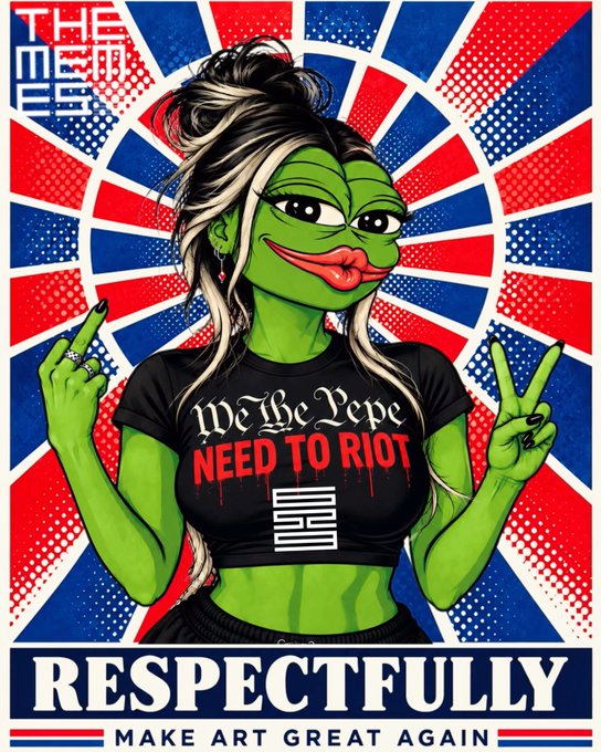 A Pepe the Frog poster in punk style with the text 'THE MEME ERA,' 'We The Pepe NEED TO RIOT,' and 'RESPECTFULLY MAKE ART GREAT AGAIN' against a red and blue sunburst background.