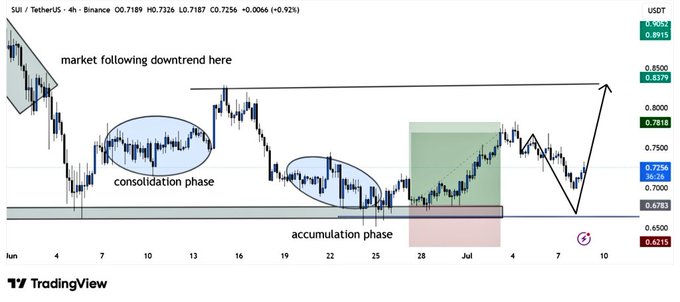 A TradingView chart of SUI/TetherUS on Binance (4h timeframe) annotated with "market following downtrend here," "consolidation phase," and "accumulation phase," with the current price at 0.7256 (+0.92%).