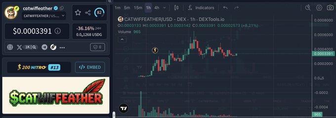 A cryptocurrency chart for $CATWIFFEATHER/USD on DEXTools shows the token priced at $0.0003391 with a 36.16% gain over 24 hours and 0.1268 USDG volume. The image connects to the post by displaying the trending meme coin $CATWIFFEATHER that the poster mentioned is gaining traction on DEXTools.