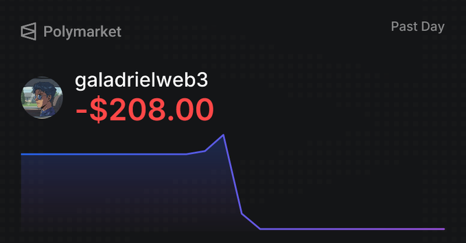 A Polymarket chart showing a user 'galadrielweb3' with a loss of -$208.00 over the past day, displayed with a sharp downward line graph.