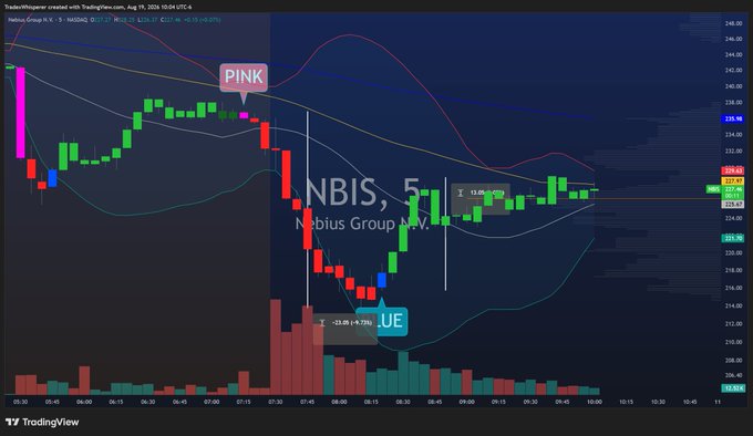 A TradingView 5-minute candlestick chart of Nebius Group ($NBIS) with two callout markers labeled "PINK" (highlighting a -9.86% drop to ~225.85) and "BLUE" (marking a bounce to 232.05), illustrating the post's point about a sharp pink selloff followed by a blue recovery off a volume shelf.
