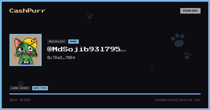 A digital display titled 'CashPurr' shows a 'PENDING' status for a project labeled '@MdSojib931795...' with token ID '0x7Da5...7084' at Spot #1324, featuring a cartoon cat character with a price of '299 PTS'.