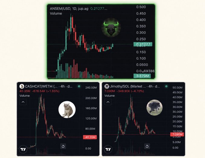 Three cryptocurrency trading charts displaying ANSEM/USD at 0.21277 with a bull logo, CASHCAT/WETH at 40.35M with a cat logo, and Jimothy/SOL at 7.090M with a dog logo.