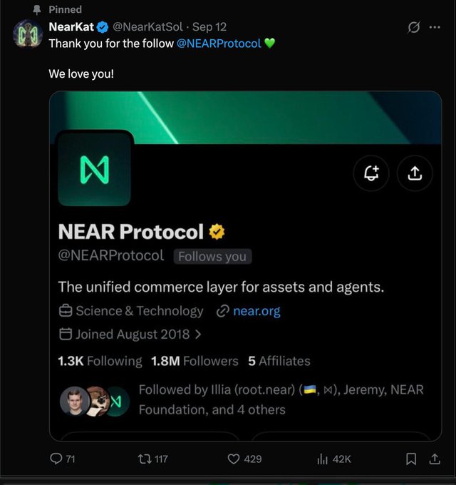 A pinned tweet from NearKat (@NearKatSol) thanking @NEARProtocol for the follow, featuring the NEAR Protocol profile card with their green logo and 1.8M followers.