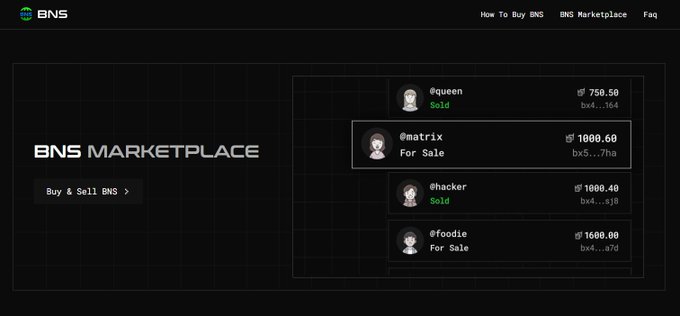 The image shows the BNS Marketplace homepage with examples of BNS names like "@queen" (Sold, 750.50), "@matrix" (For Sale, 1000.60), "@hacker" (Sold, 1000.40), and "@foodie" (For Sale, 1600.00), illustrating how BChat replaces long hexadecimal IDs with readable usernames. This visual reinforces the post's message that BNS names on Beldex Coin eliminate the need for traditional identification like phone numbers, tying identity directly to cryptographic keys.
