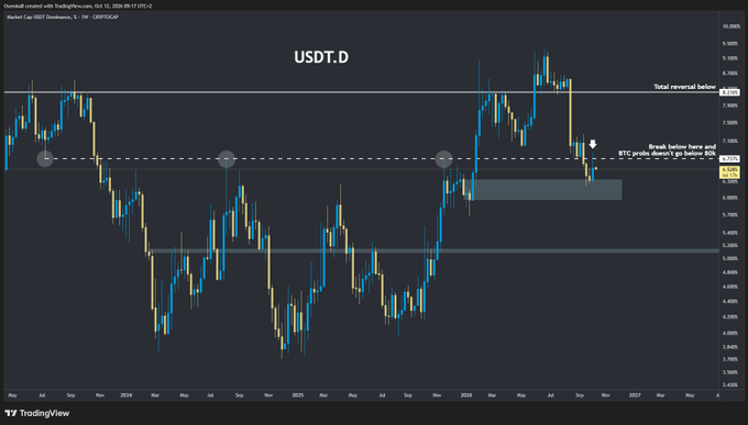 A TradingView candlestick chart titled 'USDT.D' showing technical analysis with annotations including 'Total reversal below' and 'Break below here and BTC profit doesn't go below 50%'.