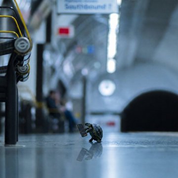 A miniature toy turtle stands on its hind legs holding a tiny phone in a train station, with a blurred 'SmartSound 1' sign visible in the background.