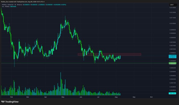 A daily candlestick chart for PEPE/USDT on Binance, showing a significant price peak in May followed by a decline and consolidation around $0.00000950 in August.