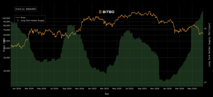The image shows a graph of Bitcoin's price over time with a green line representing its value. The x-axis represents months or days, while the y-axis displays the price of Bitcoin in dollars. The graph indicates that Bitcoin has been steadily increasing in value over time, and there is a significant upward trend from January to December. This suggests that long-term holders have been accumulating Bitcoin as it gains more and more value each day.