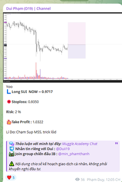 A mobile screenshot of a Telegram channel by "Du Phạm" shows a stock chart for "Long SUI NOW" at 0.9717 with a current price of 1.0322 and Vietnamese commentary.