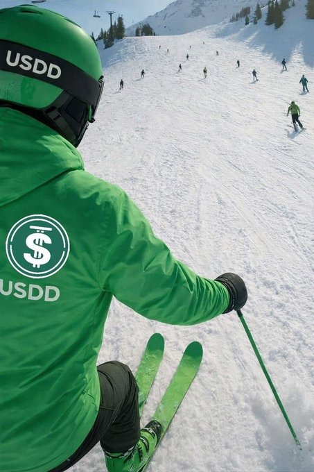 A skier wearing a bright green USDD jacket with a dollar sign logo skis down a snowy slope, viewed from behind.
