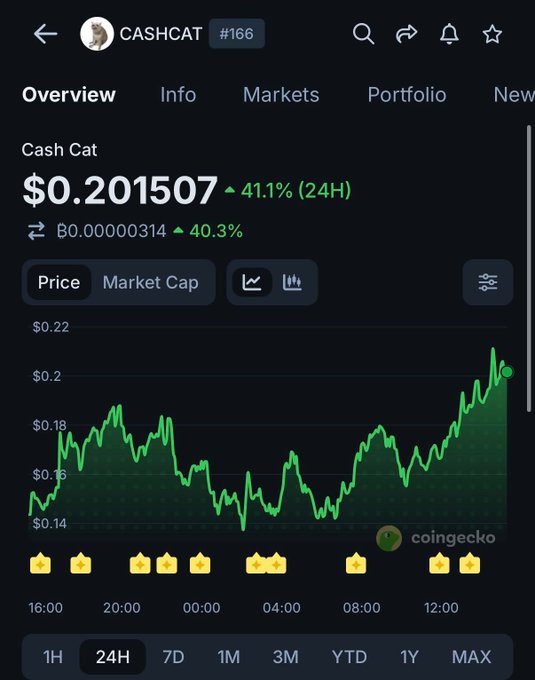 A CoinGecko price chart for 'CASHCAT' (#166) showing the token priced at $0.201507, up 41.1% in 24 hours, with a green 24-hour price trend chart.