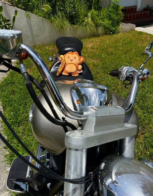 A plush orange monkey toy sits on the black seat of a chrome motorcycle parked on grass in a garden setting.