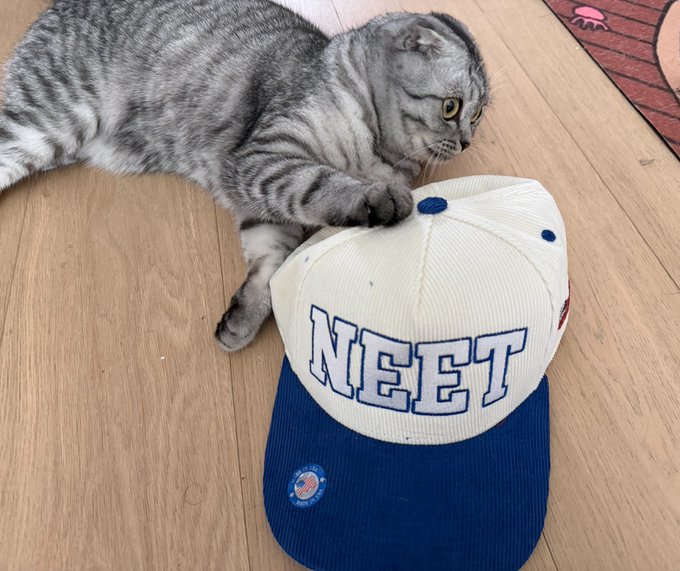 A gray tabby cat lying on a wooden floor, resting its paw on a white and blue baseball cap with "NEET" embroidered in large letters.