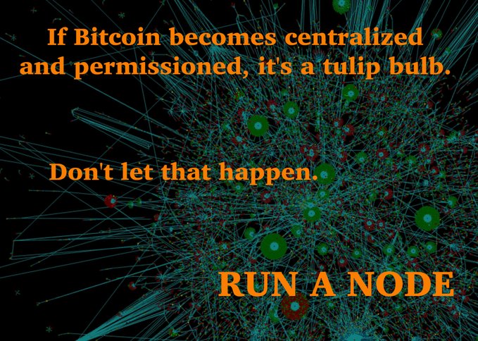 An advocacy graphic with orange text reading 'If Bitcoin becomes centralized and permissioned, it's a tulip bulb. Don't let that happen. RUN A NODE' over a network visualization background.
