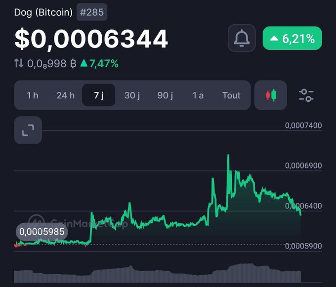 A cryptocurrency price chart showing Dog (Bitcoin) at $0.00006344 with a 6.21% increase over a 7-day period.