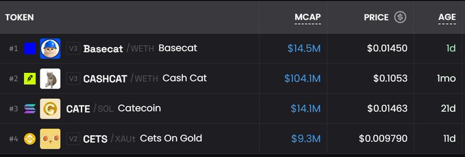 A cryptocurrency leaderboard displays four cat-themed tokens—Basecat ($14.5M MCAP, $0.01450), CASHCAT ($104.1M MCAP, $0.1053), CATE ($14.1M MCAP, $0.01463), and CETS ($9.3M MCAP, $0.009790)—prompting viewers to vote on which feline token deserves to reach a $1 billion market cap, with CASHCAT currently leading as the top contender.