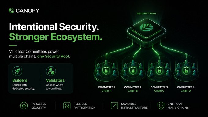Marketing graphic for Canopy titled 'Intentional Security. Stronger Ecosystem.' showing Validator Committees powering multiple chains under one Security Root, with sections for Builders and Validators highlighting Targeted Security, Flexible Participation, Scalable Infrastructure, and One Root Many Chains.