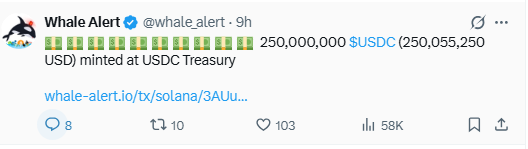 A tweet from Whale Alert (@whale_alert) reports that 250,000,000 USDC ($250,055,250 USD) was minted at the USDC Treasury, shown alongside stacks of money emojis. The post highlights a major stablecoin minting event, consistent with the accompanying message emphasizing significant capital flow signals from large market players.