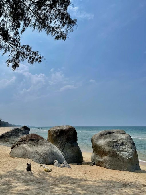 A sandy beach scene with large boulders, the ocean in the background, and tree branches with pine cones framing the top of the image.