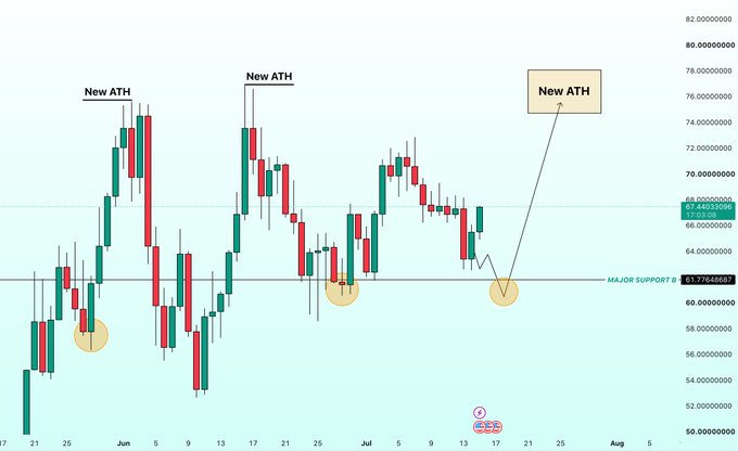 A candlestick price chart showing 'New ATH' (all-time high) markers with dates in June, July, and August, and a 'MAJOR SUPPORT @ 61.77648687' level marked.