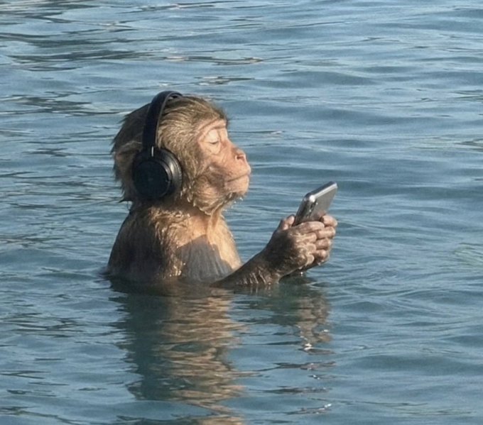 A monkey submerged in water wearing over-ear black headphones while looking at a smartphone held in its hands, creating a surreal scene.