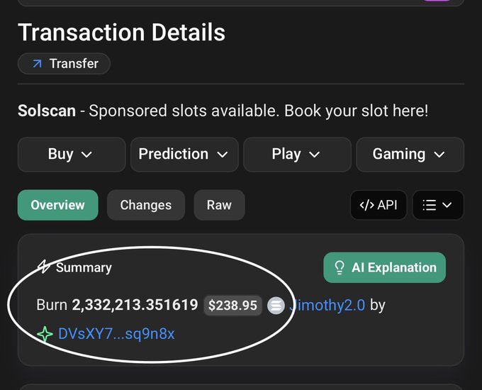 A screenshot of a 'Transaction Details' page from Solscan showing a token burn of 2,332,213.351619 (valued at $238.95) by user 'Timothy2.0', circled in white.