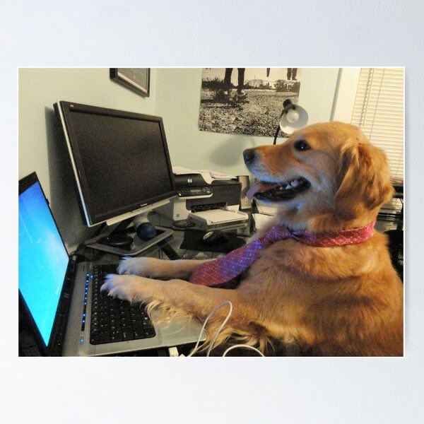 A golden retriever wearing a pink tie sits at a desk with its paws on a laptop keyboard, appearing to use the computer next to a monitor.
