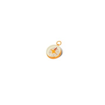 A small compass icon with an orange ring and star design centered on a white background.