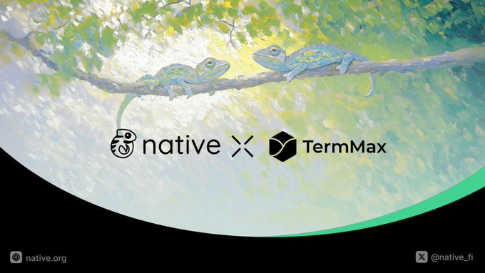 A banner showing two chameleons on a branch with green foliage background, displaying logos for 'native' and 'TermMax' with handles native.org and @native_fi.