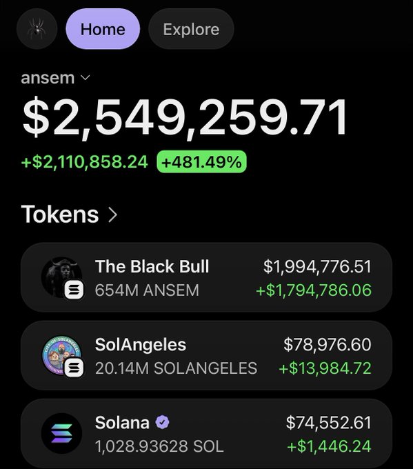 A crypto portfolio screenshot shows Ansem's holdings totaling $2,549,259.71 (+481.49%), with his largest position being "The Black Bull" token at $1,994,776.51 (654M ANSEM), which the accompanying post highlights as a potential $100M market cap airdrop that could distribute ~$70M to holders.