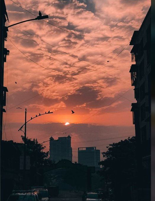 A stunning sunset cityscape with the sun low on the horizon, birds perched on power lines, and dramatic orange-pink clouds framed by silhouetted buildings.